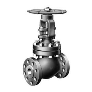 Globe Valve