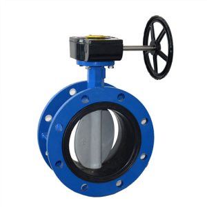 Butterfly Valve