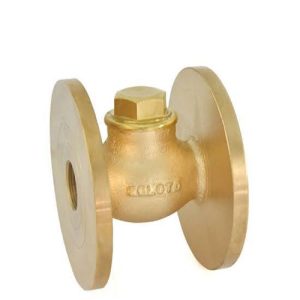 Bronze Horizontal Check Valve No.8 (Flanged)