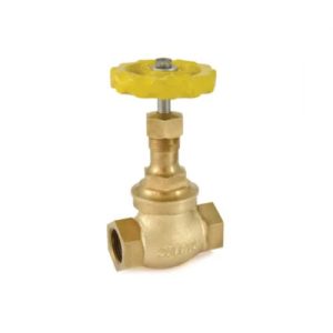 Bronze Union Bonnet Globe Valve (Screwed)