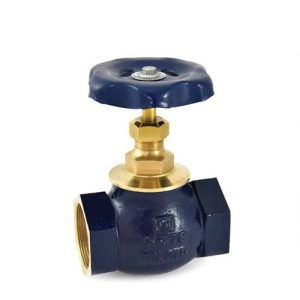 Bronze Globe Valve (Screwed)