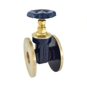 Bronze Gate Valve (Flanged)