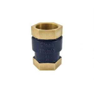 Bronze Vertical Check Valve (Screwed)