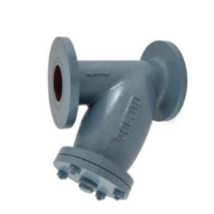 Cast Iron Y-Type Strainer (Flanged)