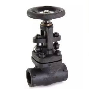 Forged Steel Globe Valve, Class-800 (Standard Bore)