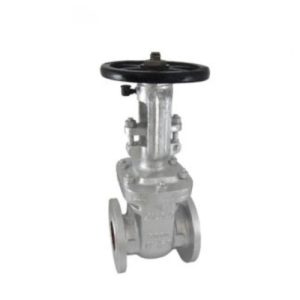 Cast Steel Gate Valve, Class-150 (Flanged)
