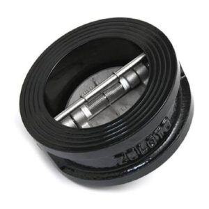 Cast Iron Dual Plate (Wafer Type) Check Valve, PN 16