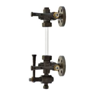 Cast Steel Sleeve Packed Water Level Gauge (Flanged)